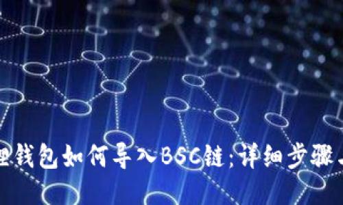 小狐狸钱包如何导入BSC链：详细步骤与技巧