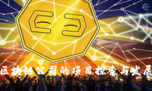 楚雄区块链公司的项目探索与发展现状