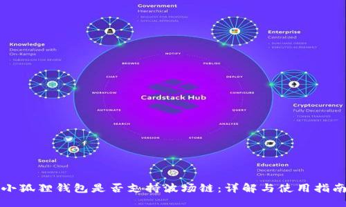 小狐狸钱包是否支持波场链：详解与使用指南