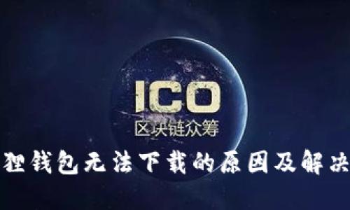 小狐狸钱包无法下载的原因及解决方案