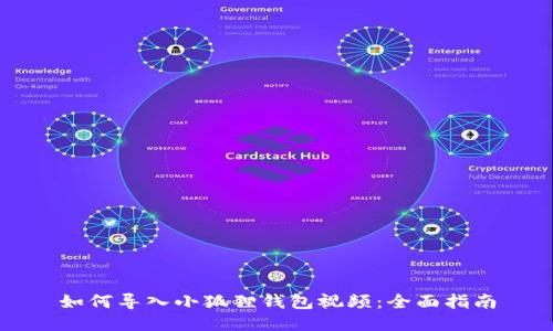 如何导入小狐狸钱包视频：全面指南