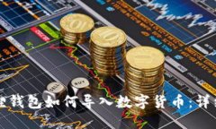 小狐狸钱包如何导入数字货币：详细指南