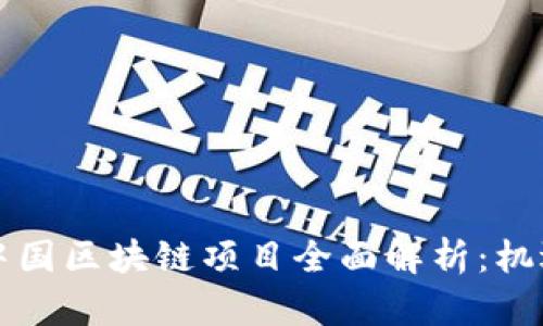 新加坡中国区块链项目全面解析：机遇与挑战