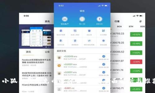  小狐狸钱包充币选什么网络？全面解析与推荐
